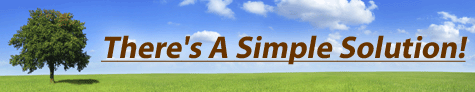 There's a simple solution, hire a marketing implementation team